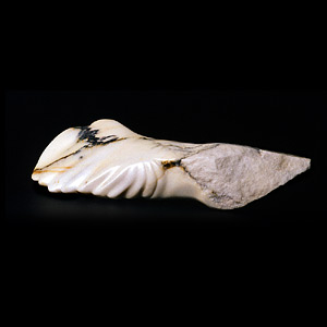 Broken Wings 2, 2000